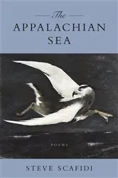 Book cover of The Appalachian Sea by Steve Scafidi