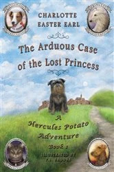 Book cover of The Arduous Case of the Lost Princess by P. S. Brooks