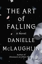 Book cover of The Art of Falling by Unknown