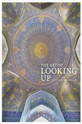 Book cover of The Art of Looking Up by Catherine McCormack