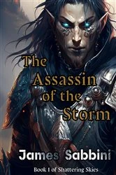Book cover of The Assassin of the Storm by James Sabbini