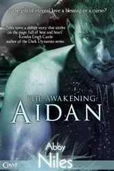 Book cover of The Awakening: Aidan by Abby Niles