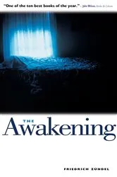 Book cover of The Awakening by Bevan McGuiness