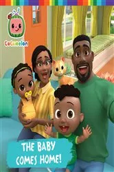 Book cover of The Baby Comes Home! by Maggie Testa