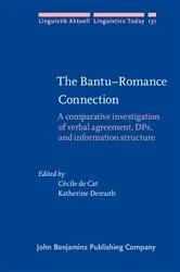 Book cover of The Bantu–Romance Connection by Cécile De Cat