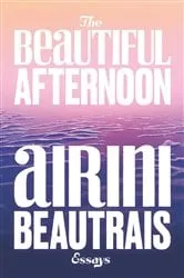 Book cover of The Beautiful Afternoon by Airini Beautrais