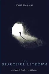 Book cover of The Beautiful Letdown by David Tremaine
