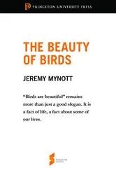 Book cover of The Beauty of Birds by Jeremy Mynott