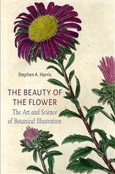 Book cover of The Beauty of the Flower by Stephen A. Harris