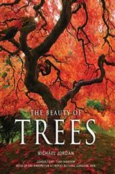 Book cover of The Beauty of Trees by Michael Jordan