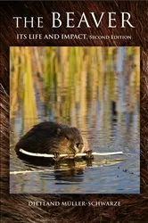 Book cover of The Beaver (2nd ed.) by Unknown