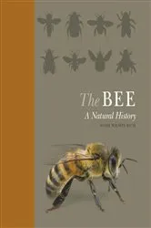 Book cover of The Bee by Noah Wilson-Rich