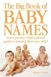Book cover of The Big Book of Baby Names by Marissa Charles