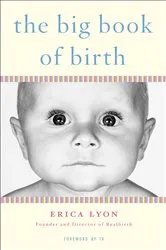 Book cover of The Big Book of Birth by Erica Lyon