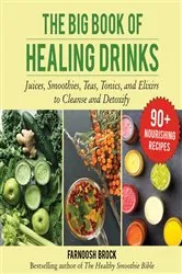 Book cover of The Big Book of Healing Drinks by Farnoosh Brock
