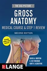 Book cover of The Big Picture: Gross Anatomy, Medical Course & Step 1 Review, Second Edition (2nd ed.) by David A. Morton