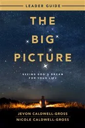 Book cover of The Big Picture Leader Guide by Nicole Caldwell-Gross