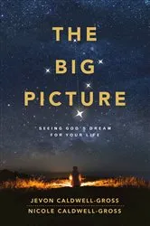Book cover of The Big Picture by Unknown