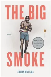 Book cover of The Big Smoke by Jason Nahrung