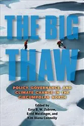 Book cover of The Big Thaw by Donald Harstad
