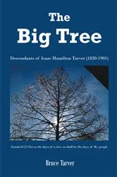 Book cover of The Big Tree by Bruce Tarver