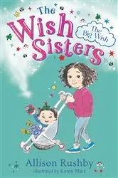 Book cover of The Big Wish by Allison Rushby