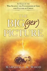 Book cover of The Bigger Picture by Robert Hancock