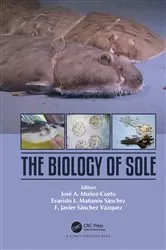 Book cover of The Biology of Sole by José A. Munoz-Cueto