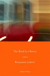 Book cover of The Bird Is a Raven by Benjamin Lebert