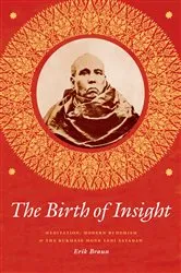 Book cover of The Birth of Insight by Erik Braun