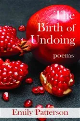 Book cover of The Birth of Undoing by Emily Patterson