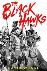 Book cover of The Black Hawks by David Wragg