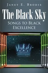Book cover of The Black Sky by Janet E. Brodie