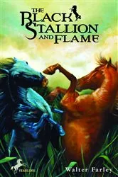 Book cover of The Black Stallion and Flame by Walter Farley