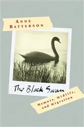 Book cover of The Black Swan by Mercedes Lackey