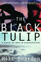 Book cover of The Black Tulip by Alexandre Dumas