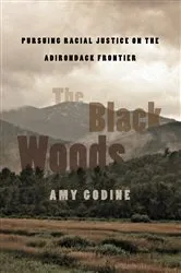 Book cover of The Black Woods by Amy Godine