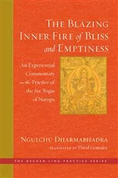 Book cover of The Blazing Inner Fire of Bliss and Emptiness by David Gonsalez