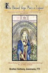 Book cover of The Blessed Virgin Mary in England Vol. 1 by Anthony Josemaria FTI