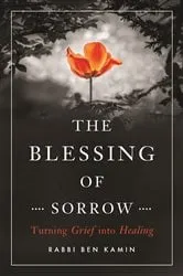 Book cover of The Blessing of Sorrow by Ben Kamin
