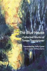Book cover of The Blue House by Phoebe Wahl