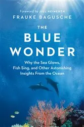 Book cover of The Blue Wonder by Frauke Bagusche