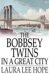 Book cover of The Bobbsey Twins in a Great City by Laura Lee Hope