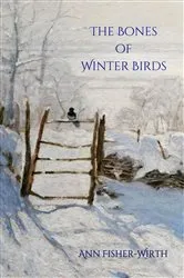 Book cover of The Bones of Winter Birds by Ann Fisher-Wirth
