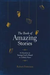 Book cover of The Book of Amazing Stories by Robert Petterson