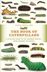 Book cover of The Book of Caterpillars by David G. James