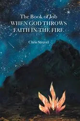 Book cover of The Book of Job When God Throws Faith in the Fire by Chris Strevel