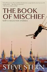 Book cover of The Book of Mischief by Steve Stern
