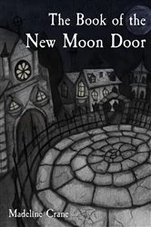 Book cover of The Book of the New Moon Door by Madeline Crane