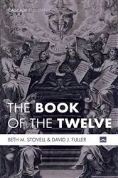 Book cover of The Book of the Twelve by Beth M. Stovell